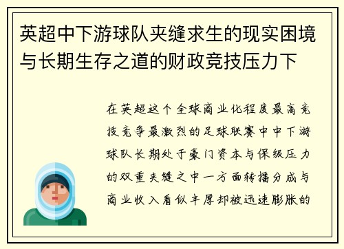 英超中下游球队夹缝求生的现实困境与长期生存之道的财政竞技压力下
